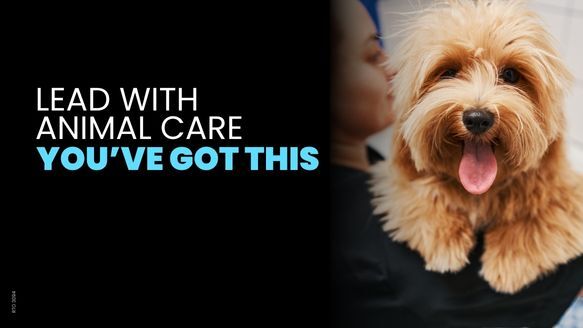 Lead with animal care- you've got this