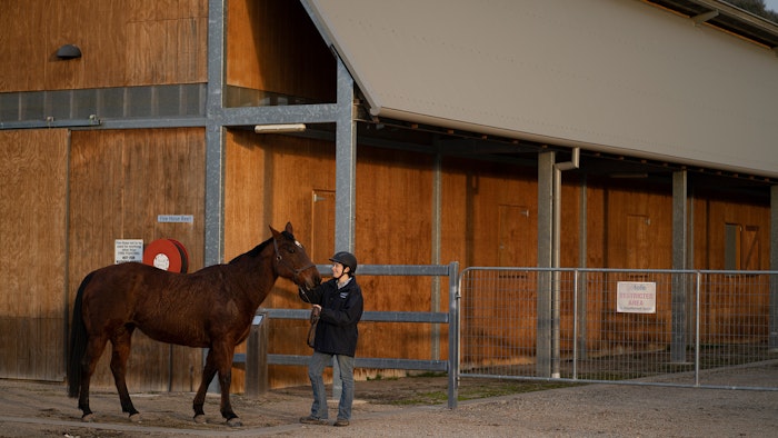 Equine trainer Christine Meunier patting horse