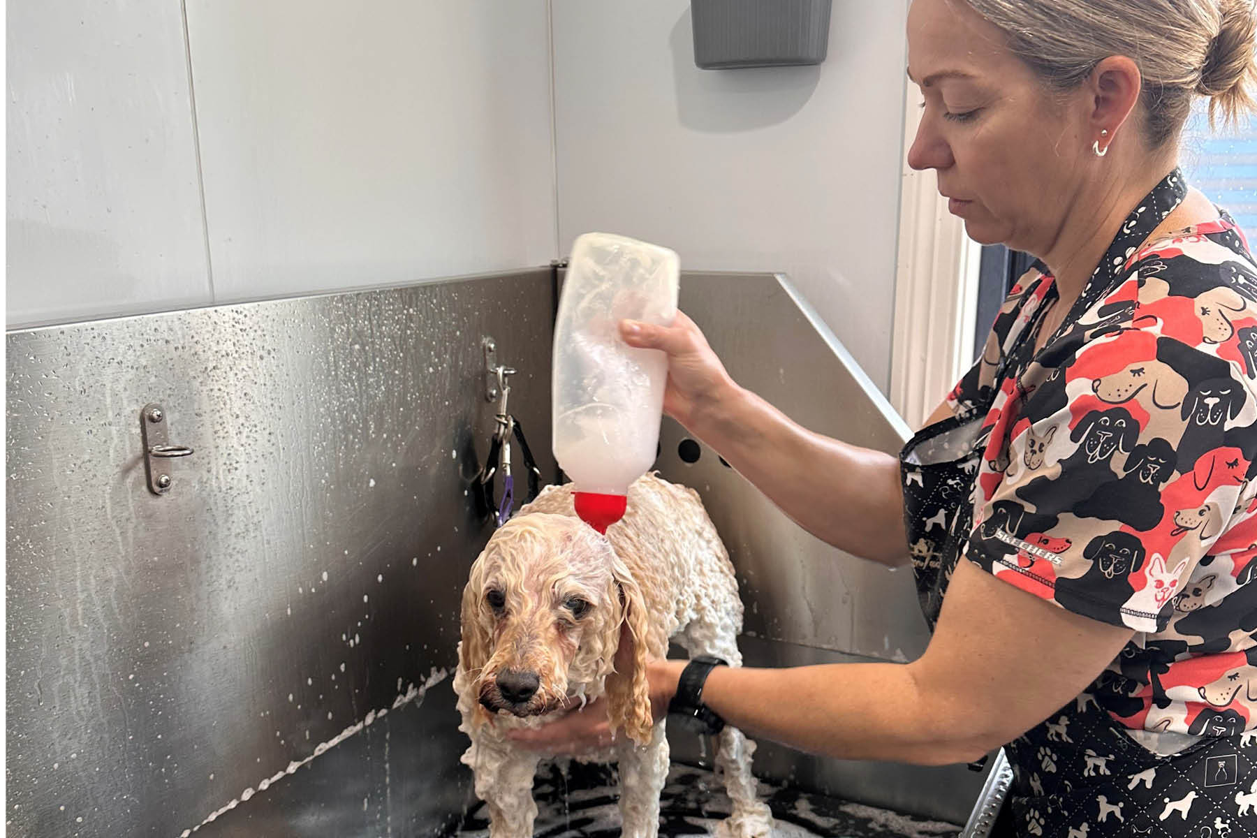 Amy bathing a dog in the workplace