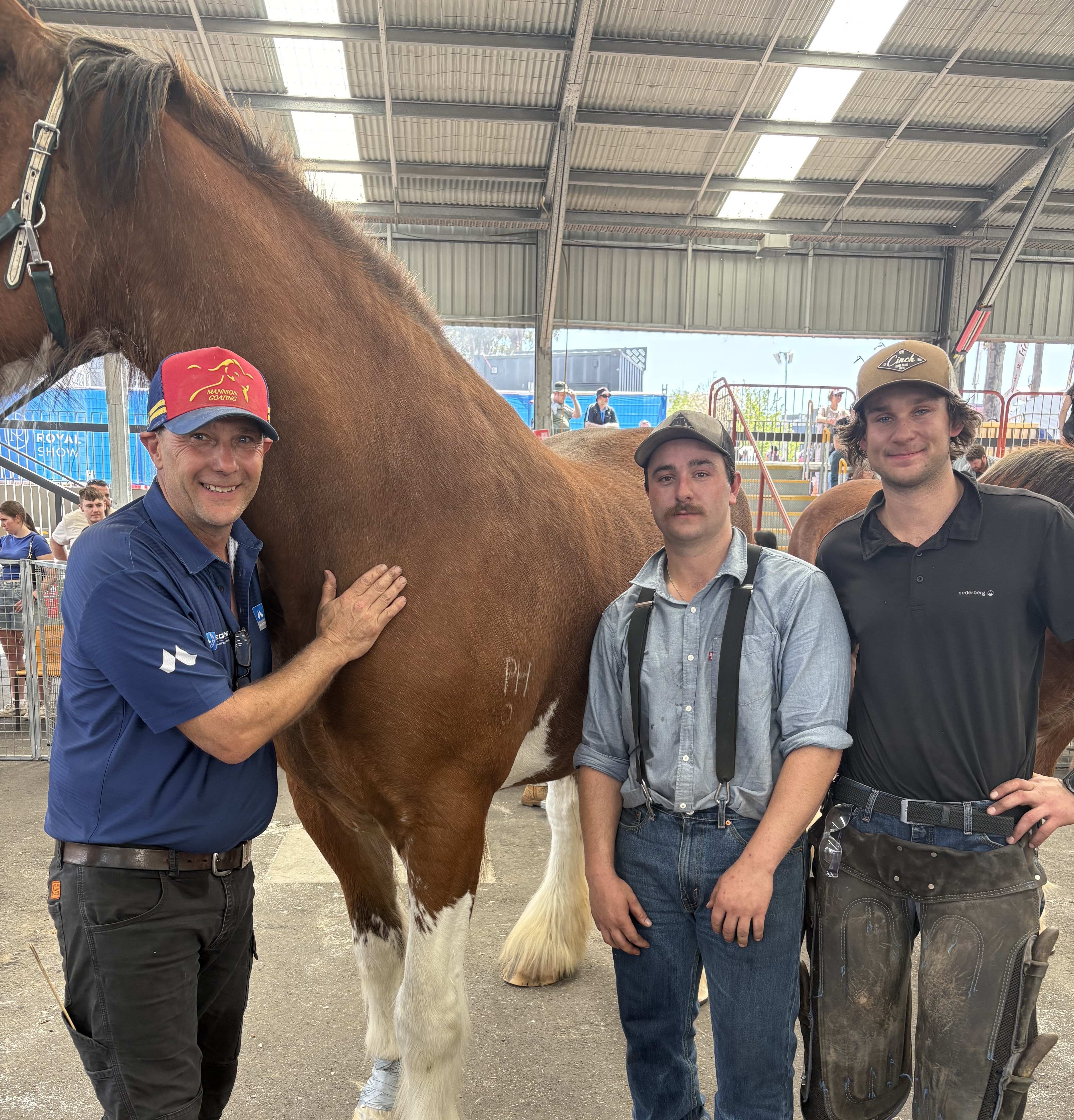 Melbourne Royal Show farriery competition.
