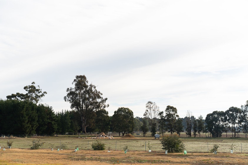 GO TAFE Shepparton grounds HI RES 12