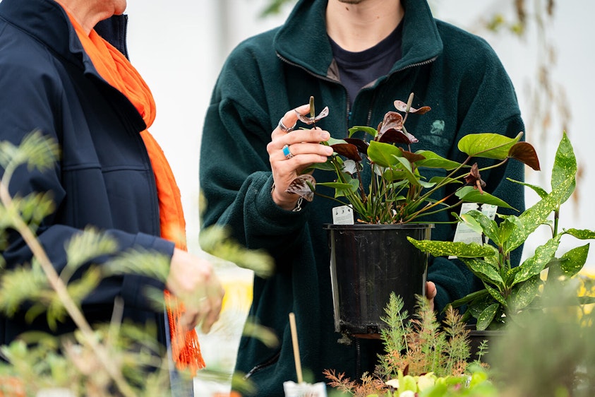 GO TAFE Shepparton horticulture HI RES 19