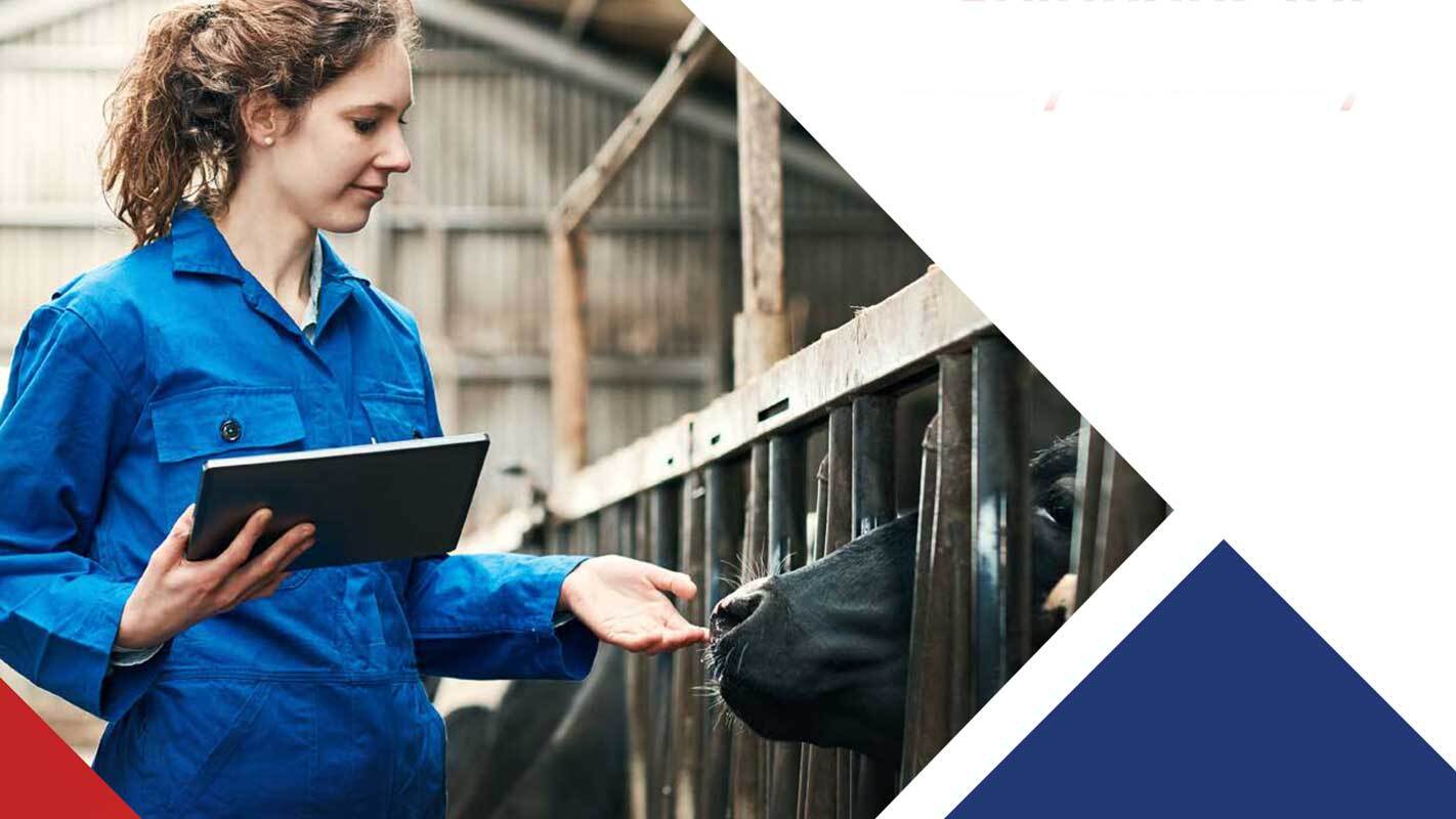 Brochure cover for the Customised Training Dairy Industry brochure