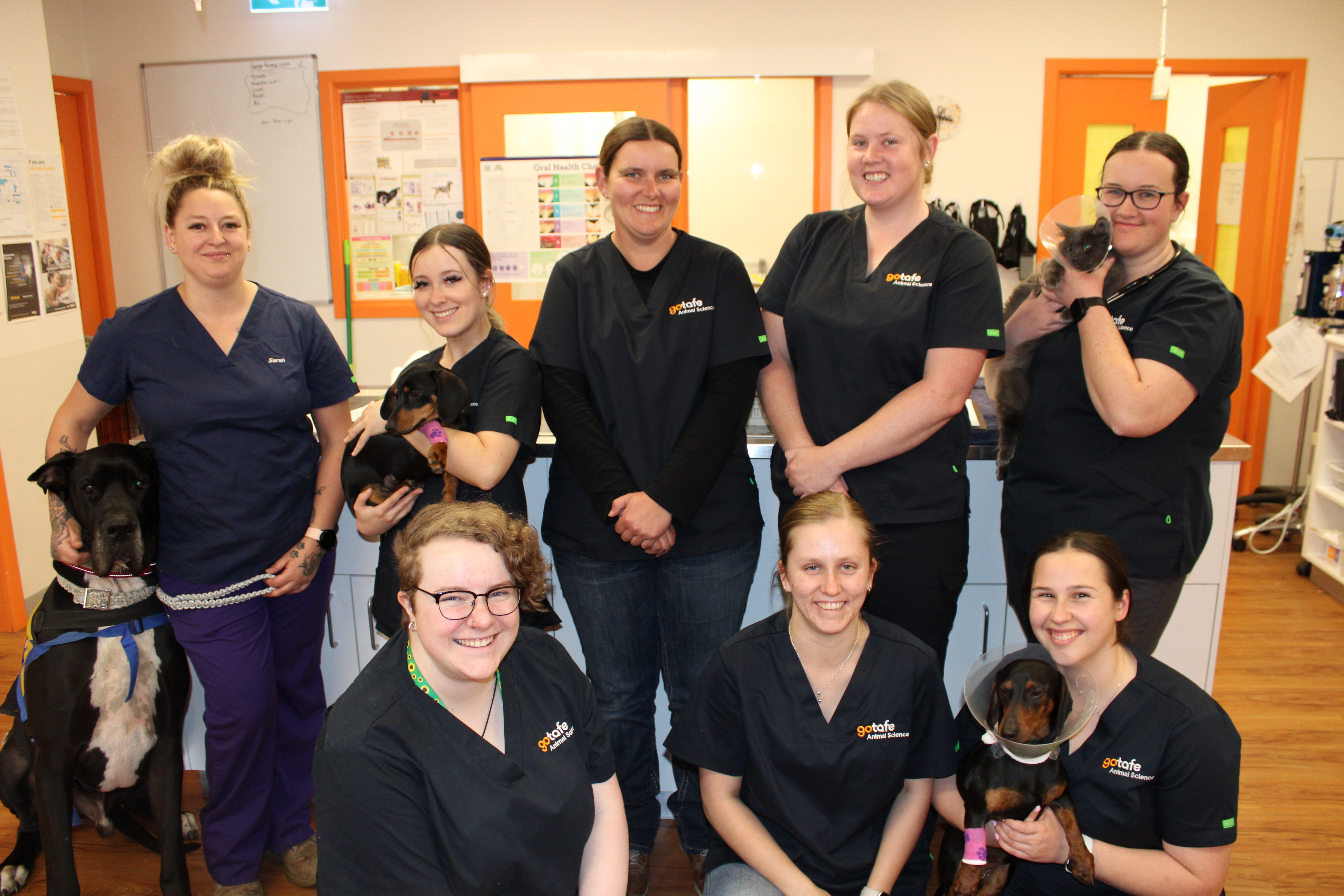 GOTAFE veterinary students thrive with hands on training