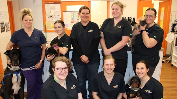 GOTAFE veterinary students thrive with hands on training