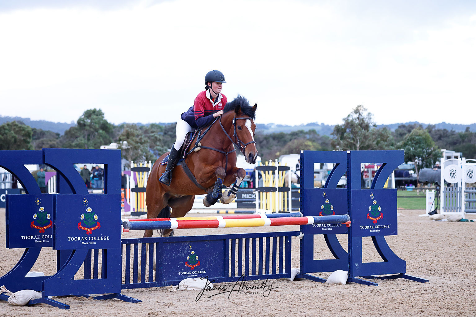 Bethany horse jumping