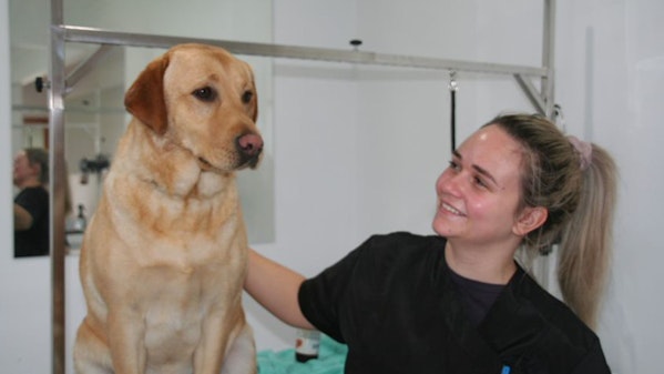GOTAFE introduces new Animal Care Services qualification