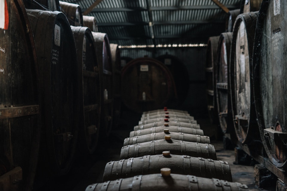 Rutherglen x Phoebe Powell For WEB 227