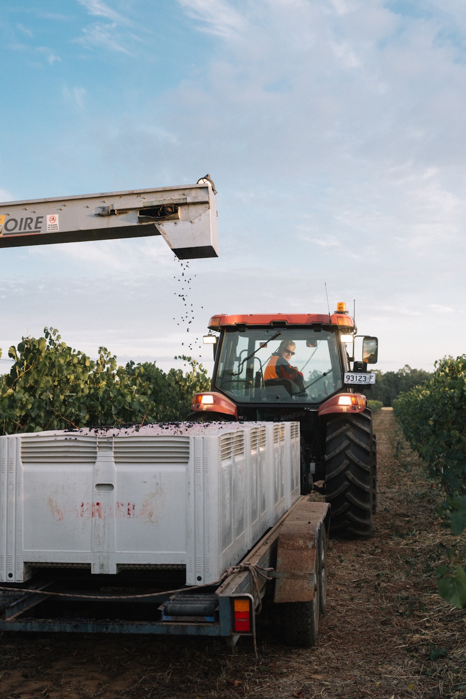 Rutherglen x Phoebe Powell For WEB 38