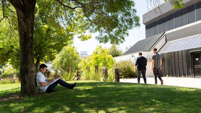 Solitary learners work better with no distractions