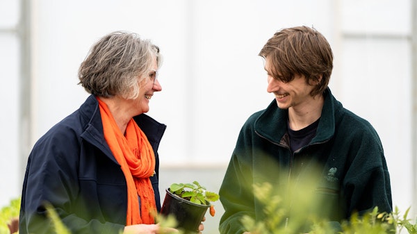 Training for your Business