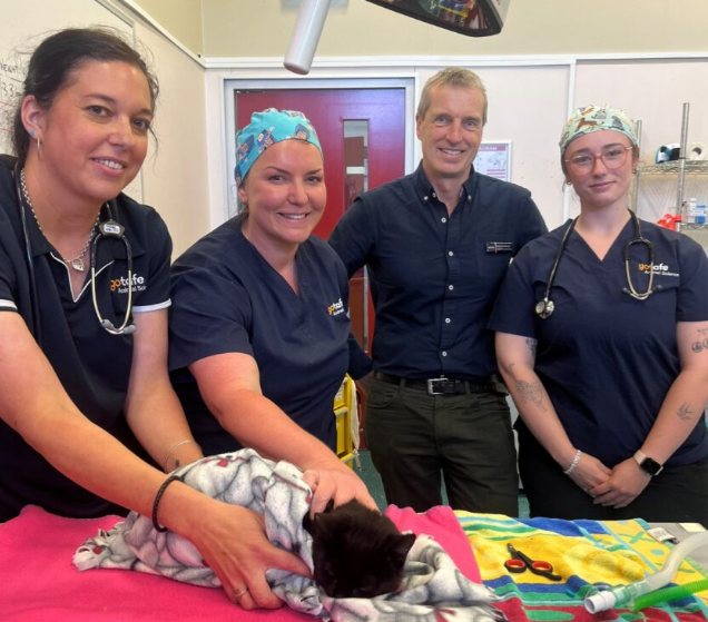 Animal surgeries a first for GOTAFE