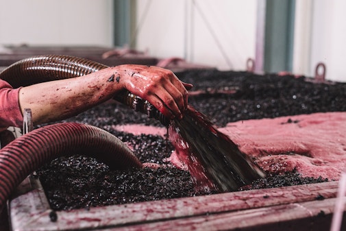 GOTAFE Diplomas boosting Victorian wine industry