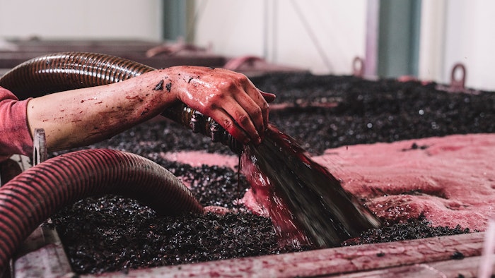 Winemaking hands in tub of grapes