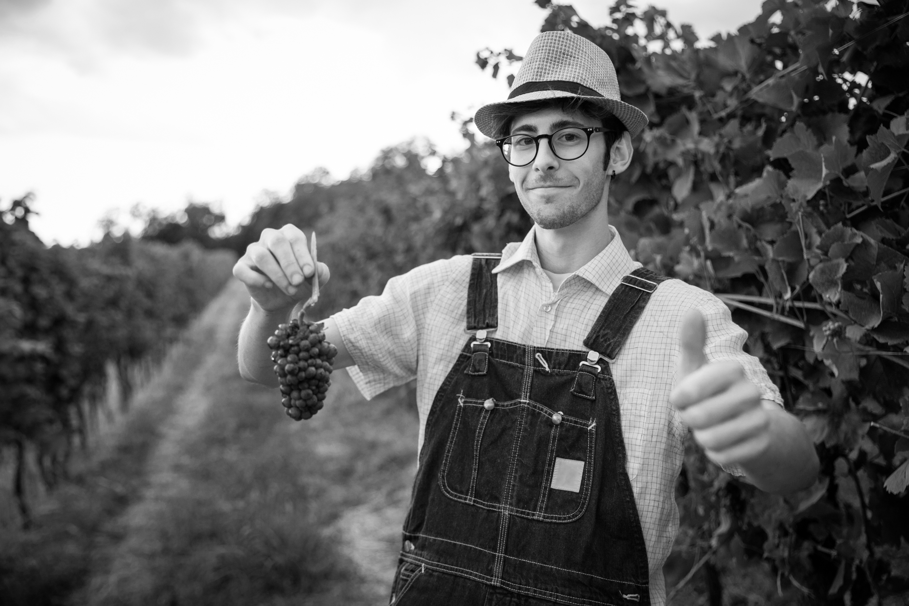 Scholarships are available.