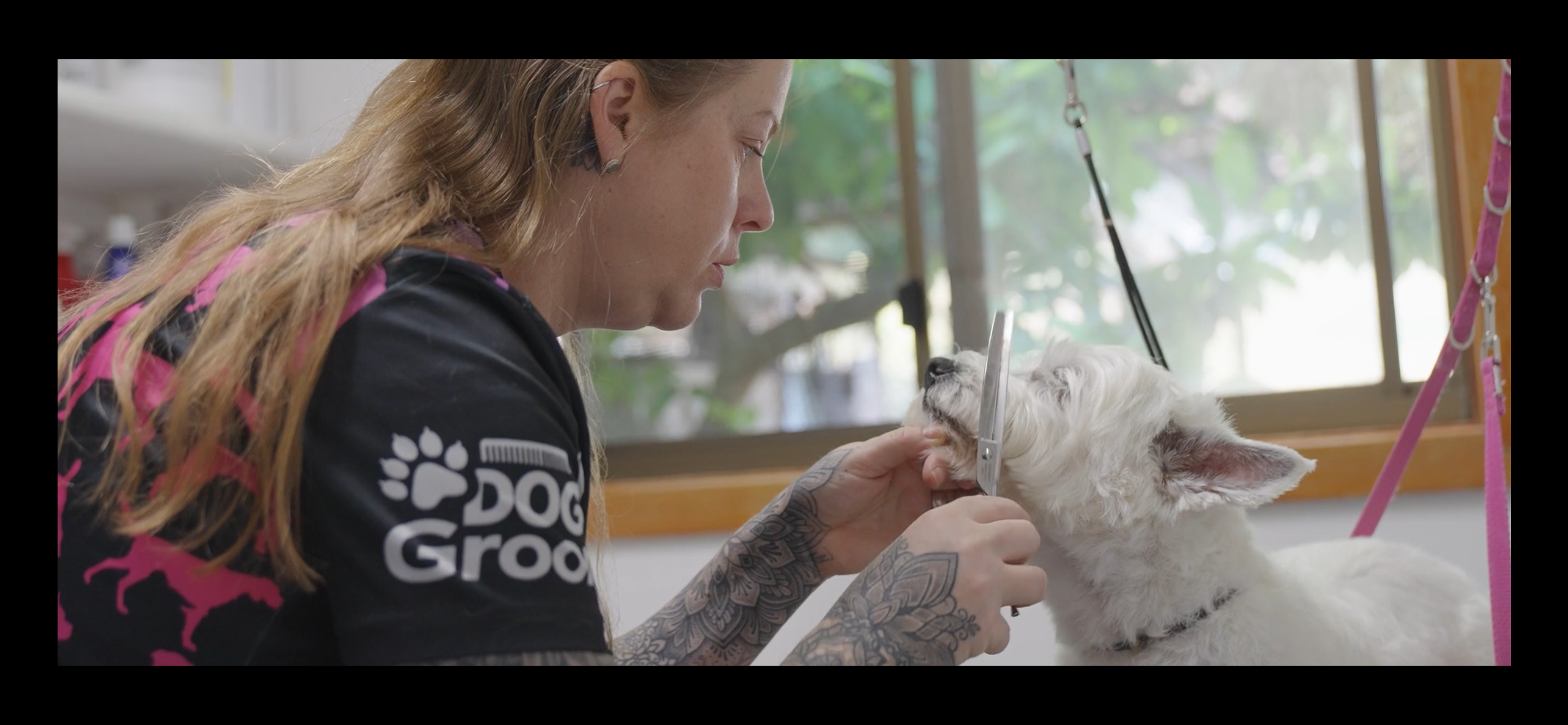 Donna Forster grooming animal